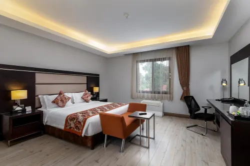 The Athena Hotel Kampala Bilik Photos