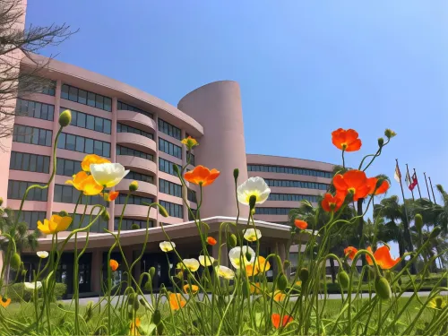 Ibusuki Iwasaki Hotel Exterior Photos