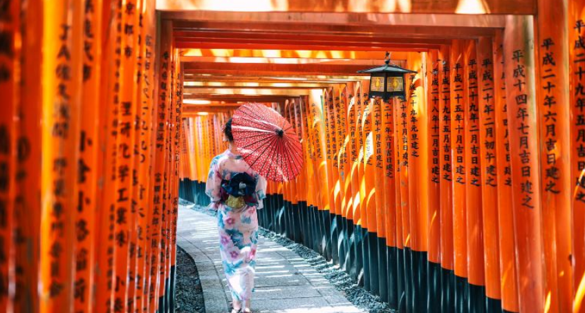 Kyoto Travel Guide: Top Attractions, Transport & Where to Stay