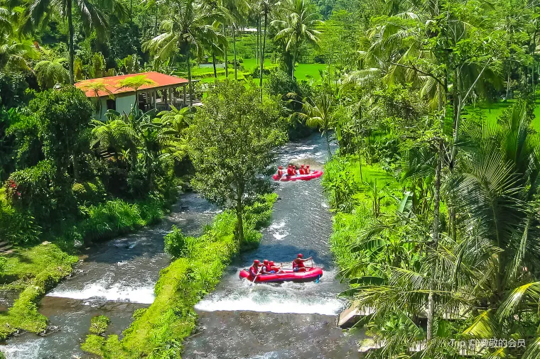 Ayung River Rafting