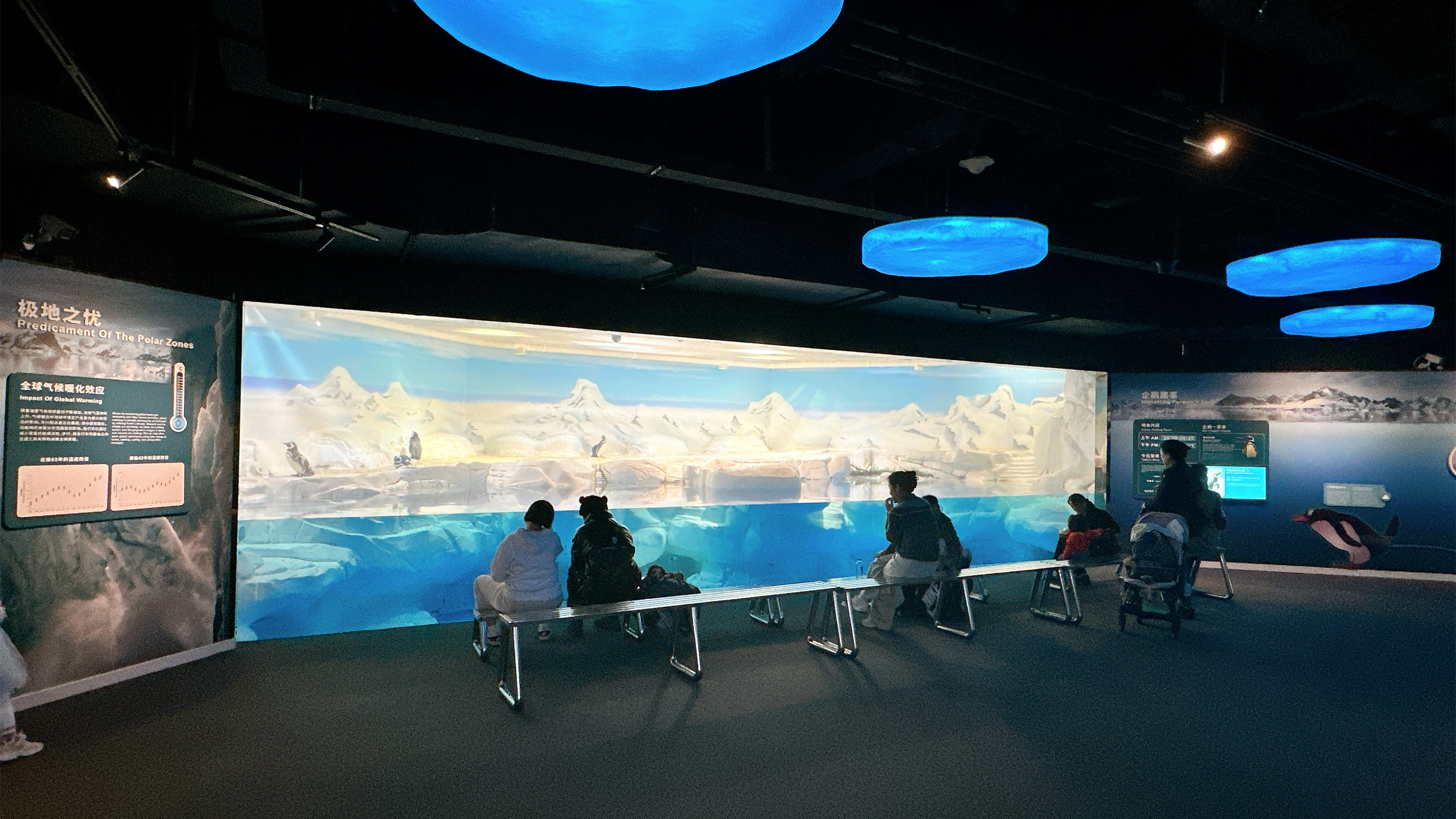 上海海洋水族館