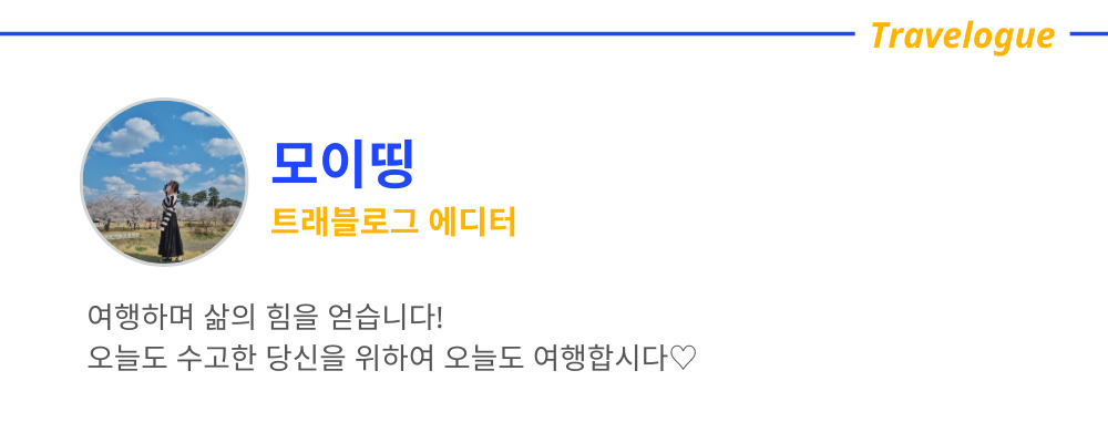 트립닷컴 최신 정보